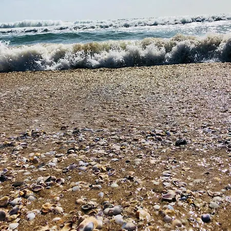 Apartment Beach Primorsko